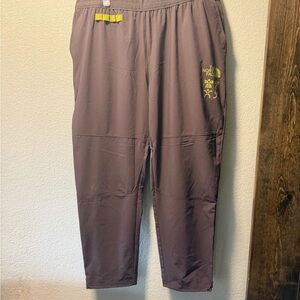 The North Face Men's XXL purple Trailwear with Yellow Logo